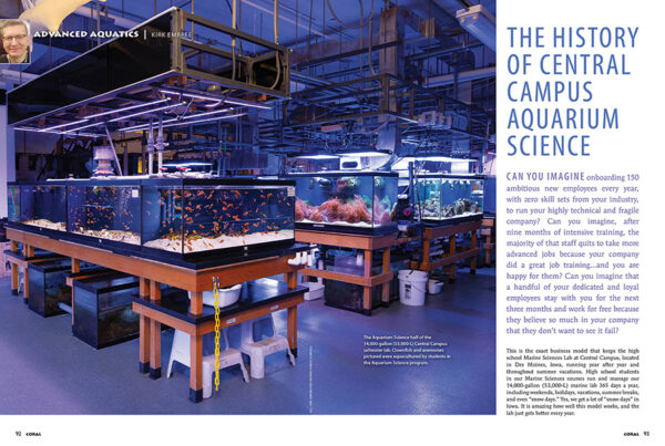 CORAL May/June 2025: JAW-DROPPING JAWFISHES - Image 8