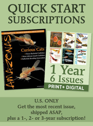 QUICK-START AMAZONAS Subscriptions (U.S. ONLY)