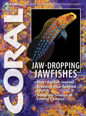 CORAL May/June 2025: JAW-DROPPING JAWFISHES