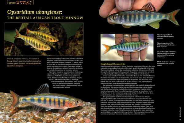 AMAZONAS Jul/Aug 2025: CURRENT AFFAIRS: LIFE IN FLOWING WATERS - Image 3