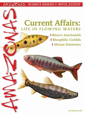 AMAZONAS Jul/Aug 2025: CURRENT AFFAIRS: LIFE IN FLOWING WATERS
