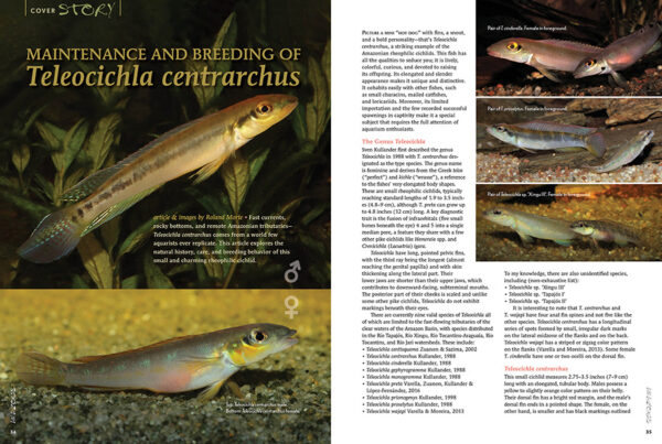 AMAZONAS Jul/Aug 2025: CURRENT AFFAIRS: LIFE IN FLOWING WATERS - Image 5