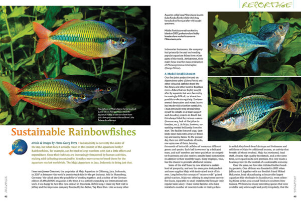 AMAZONAS Jul/Aug 2025: CURRENT AFFAIRS: LIFE IN FLOWING WATERS - Image 6