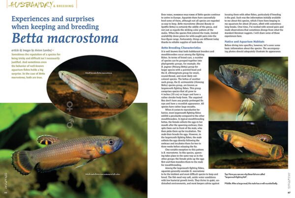 AMAZONAS Jul/Aug 2025: CURRENT AFFAIRS: LIFE IN FLOWING WATERS - Image 7