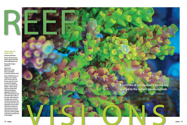 CORAL July/August 2025: AQUASCAPING WITH ALGAE - Image 2
