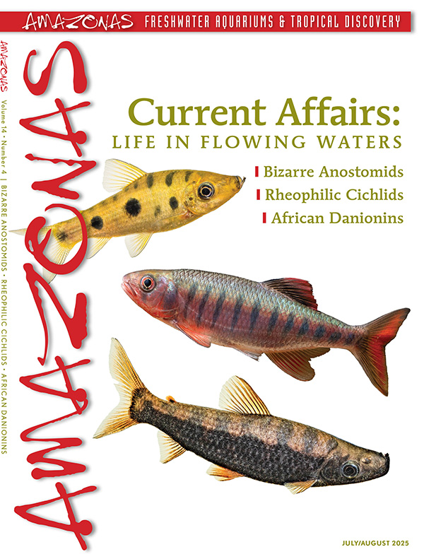 Click cover to order this back issue for your AMAZONAS collection.