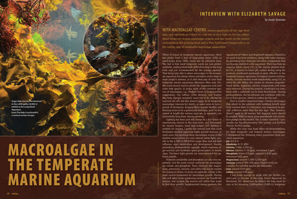 CORAL July/August 2025: AQUASCAPING WITH ALGAE - Image 6