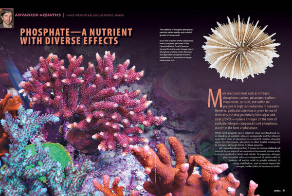 CORAL July/August 2025: AQUASCAPING WITH ALGAE - Image 8