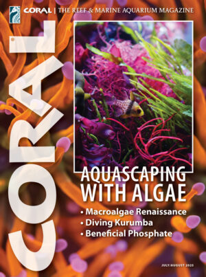 CORAL July/August 2025: AQUASCAPING WITH ALGAE